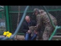 Putin Saves Siberian Tigers: Russian leader is famed for his love of macho photo opportunities