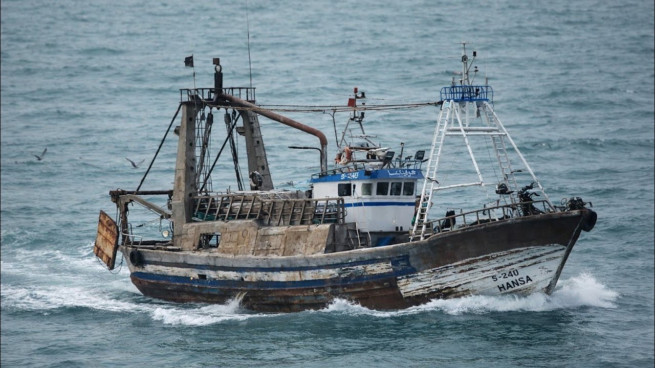 عودة مراكب الصيد بعد رحلة في عرض البحر 🌊