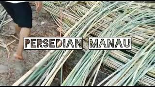 PERSEDIAAN ROTAN MANAU