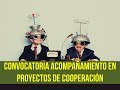 video consultoria proyectos