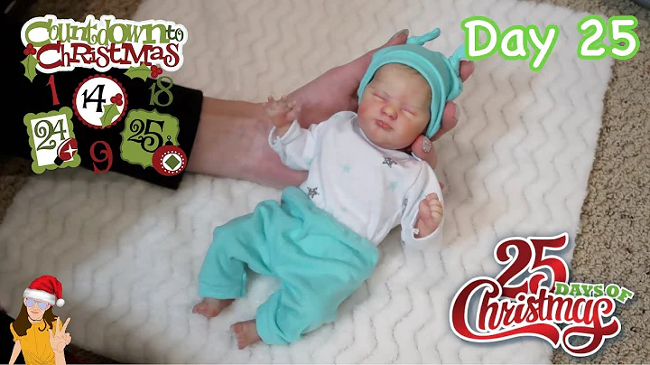 Reborn Countdown to Christmas! Changing Mini Baby ...