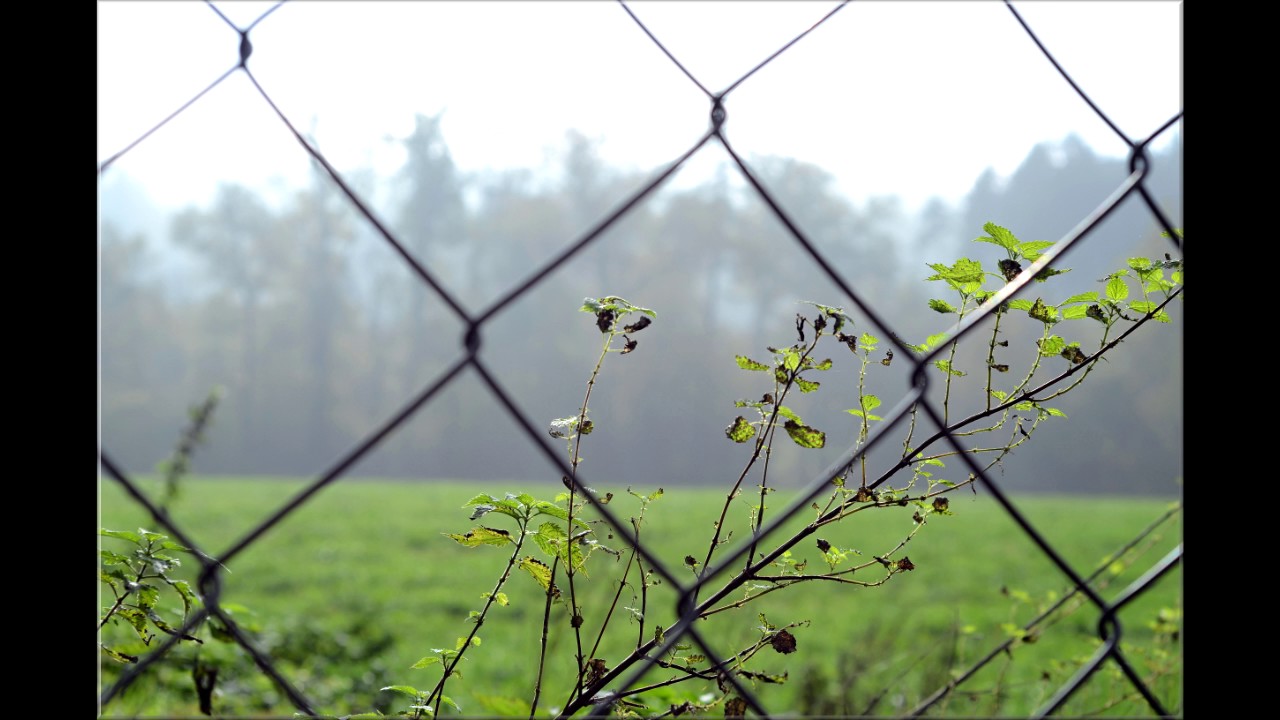 Dave Pinos - Before junkyard fence, the fence nature (Official Video)