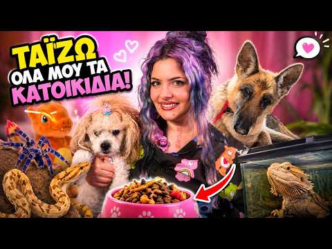 Ταΐζω ΟΛΑ Μου Τα Κατοικίδια! 🐶🕷️🐍