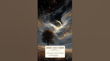من قراها ثلاث مرات ختم القران #سورة_الإخلاص #ماهر_المعيقلي #تلاوة_خاشعة #قرآن #متابعه #اكسبلور #fyp