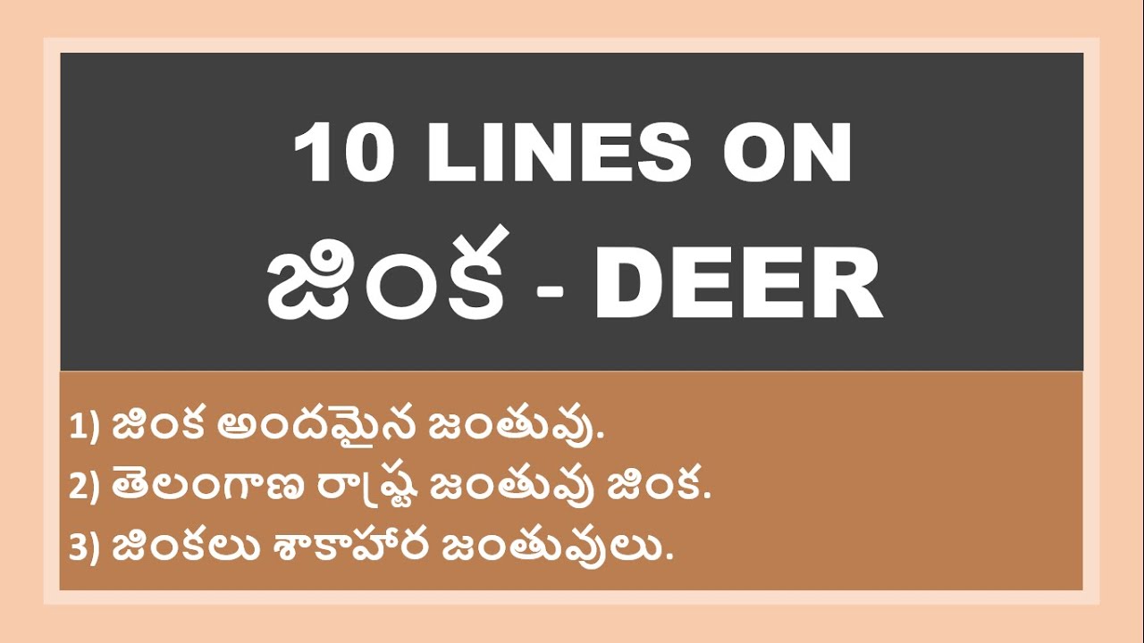 10 Lines On Deer In Telugu Few Lines On Deer YouTube deer-story-3rd-class-e-masapu-story-telugu-kids-story-s-animals