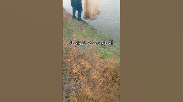 صيد السمك #دعمكم #القرآن_الكريم #سورة_البقرة #آية_الكرسي #اكسبلور
