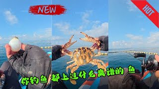 【陈师傅路亚】你钓鱼都上过哪些离谱的鱼#钓鱼  #钓鱼人  #海钓 #fishing   #fishinglife  #钓鱼生活 #户外 #vlog #funny #抓鱼