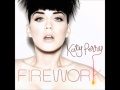 Firework (Male Version) - Katy Perry