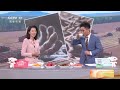 中国三农报道 乡聚丰收 黑龙江 大豆喜获丰收 解密 丰收密码 农业致富经 Agriculture And Farming 中国三农报道 乡聚丰收 黑龙江 大豆喜获丰收 解密 丰收密码 农业致富经 Agriculture And Farming