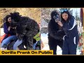 Gorilla Prank With Public | Funky Joker