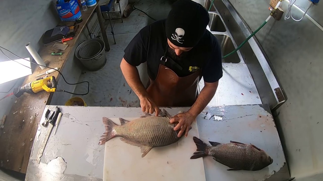How to skin and fillet a buffalo carp - YouTube