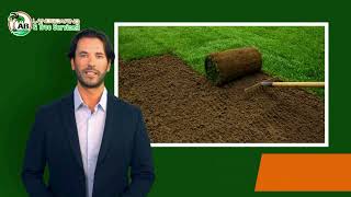 AB Landscaping & Tree Service LLC is ready to assist yo