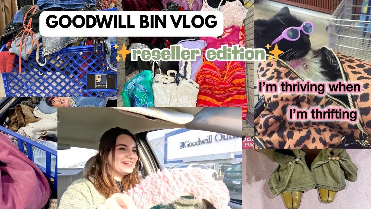 SAVING Clothes From the LANDFILL | Goodwill Bin Vlog