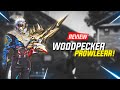 WOODPECKER INI DAPAT MEMBUAT KEPALA MUSUH NYUT-NYUTAN! image