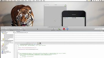 iPhone Programming - UIActivityIndicatorView Basics