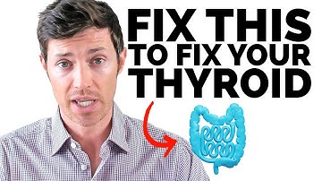Naturally Increase Thyroid Function by 20%+ (The Gut-Thyroid Connection)