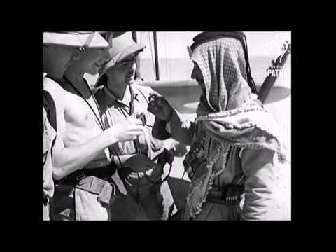 رشيد عالي الكيلاني