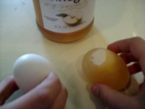 What happens if you soak an egg in vinegar?