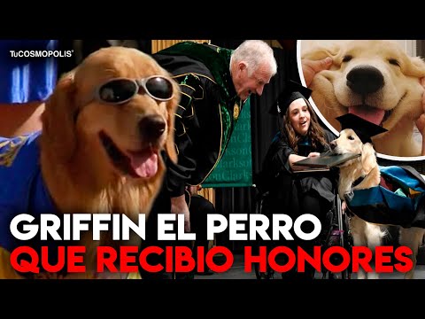 Video: Perro Perdido Encontrado: Dane Cook Recurre A Twitter Para Recuperar A La Bestia