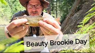 Great Day Brook Trout Fishing