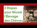 Levage des chvres tout ce que vous devez savoir