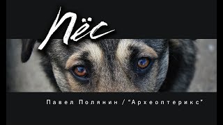 Пёс
