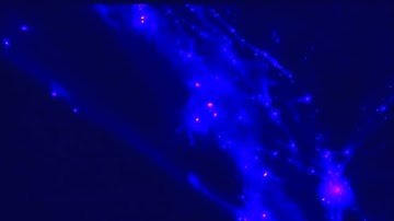 Cosmological simulation : disk formation 2