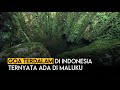 Gua Terdalam di Indonesia Ada di Maluku | Goa Hatusaka Pulau Seram