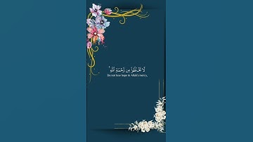 سورة الزمر ✨  محمد اللحيدان