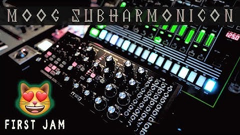 Creating a House Track in 5 min w/the Moog Subharmonicon [First Jam w/ Roland TR-8 + Korg Monologue]