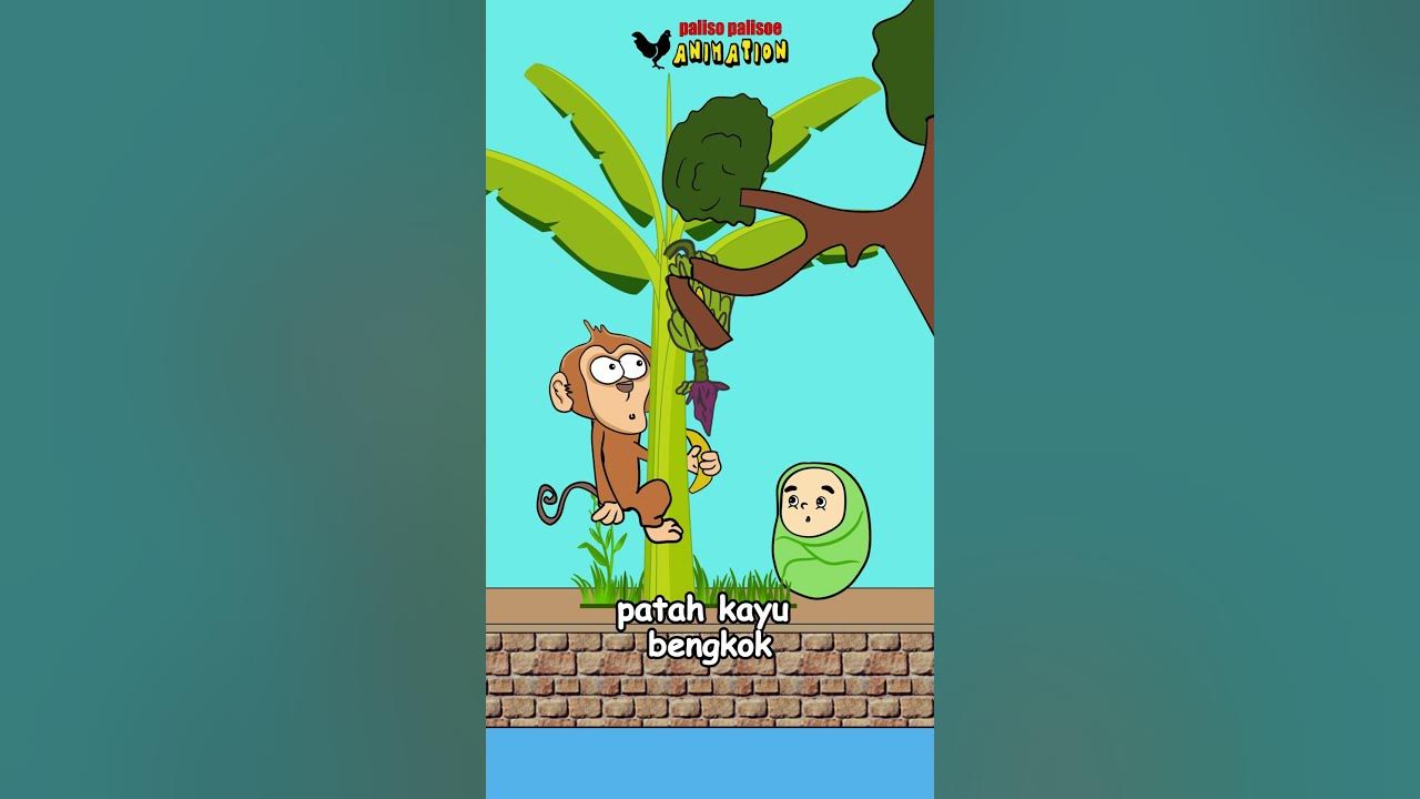 AMPAR AMPAR PISANG PISANGKU BELUM MASAK