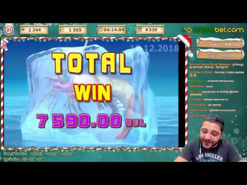 NetEnder   მორიგი  ბიგ  ვინი  X253  პინგვინებში