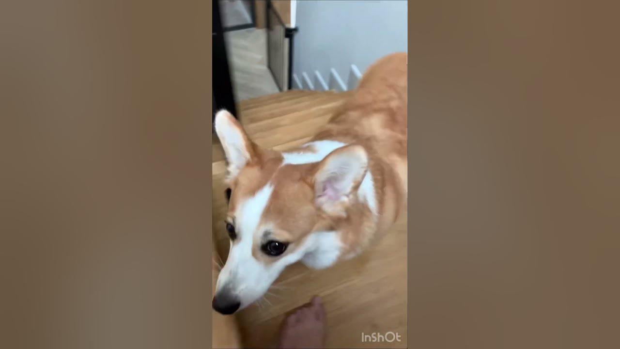 Stairs are a real challenge for YouTube