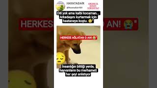 Merhametin Dili Yoktur... Bakar Mısınız Şuna? ❤️ I Şfet