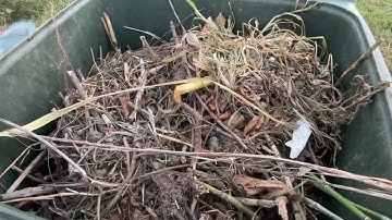 Tiny Tidy Tuesday/Cleaned Out Two Flower Beds /Need Help on New Plants