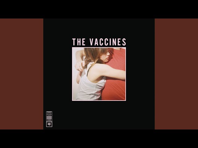 THE VACCINES - A LACK OF UNDERSTANDING