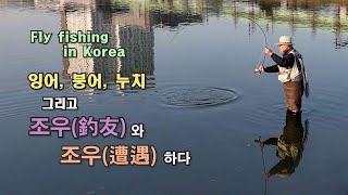 2024 fly fishing EP2  조우(釣友)와 조우(遭遇)하다. (잉어 플라이 낚시)