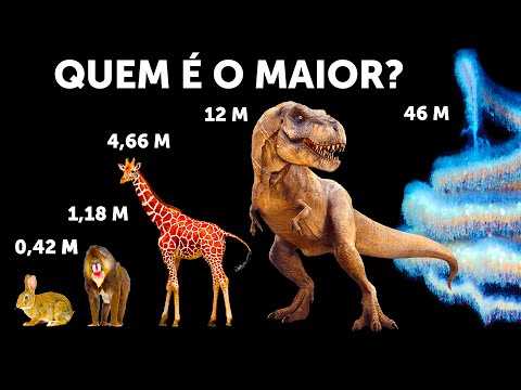 Vídeo: O animal mais pesado do mundo. Quanto pesa baleia azul, elefante e hipopótamo