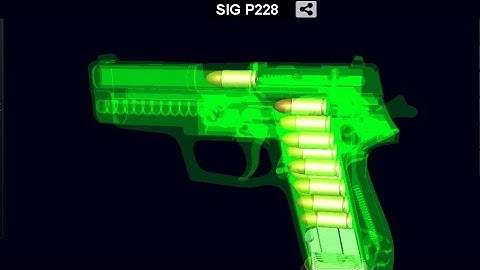 How Does a SIG P228 Work ? || gun working animation