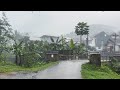 Rain in a beautiful village on a hillindonesian villagefall asleep in 5 minutes