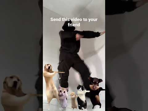 Send this video to your friend and don’t say anything #mrbear