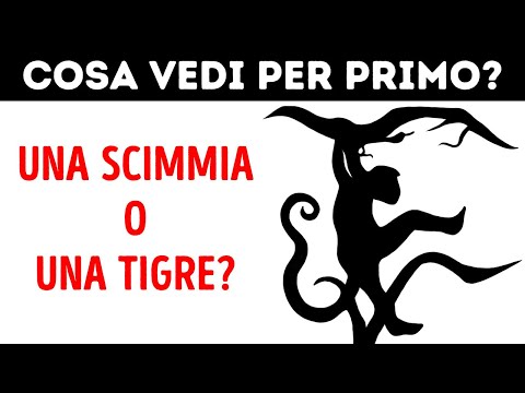 Video: Ho L'ADHD, Quindi Perché Sono Così Esausto?