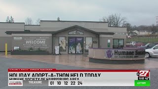 The Humane Society of Harrisburg Area held its adopt-a-thon on Saturday.