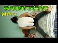 bidesh maa diusai sex gareko video