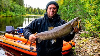 ОСЕННЯЯ РЫБАЛКА | ТРИ ДНЯ В ДИКИХ МЕСТАХ | МЕДВЕДЬ-ВАНДАЛ РАЗОРИЛ ИЗБУ