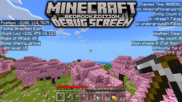 NEW F3 Debug Screen Addon for Minecraft Bedrock Edition/MCPE