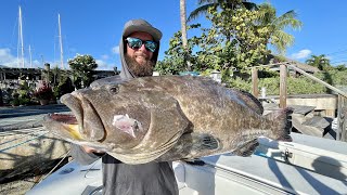 Tactical Grouper Hunt | Big Grouper Shallow Water | Just One Fish