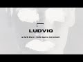 LUDVIQ: A Dark Disco/Indie Dance DJ Set