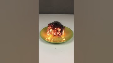 Fire-spring | Experiment No.463 | Funny Tricks #Experiment #Tips #Shorts #ytshorts