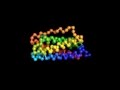 The Building Blocks of Life: Exploring Proteins and Amino Acids